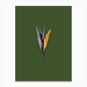 Vintage Autumn Crocus Black and White Gold Leaf Floral Art on Olive Green n.1097 Canvas Print