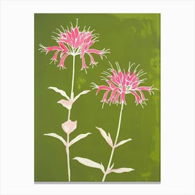 Pink & Green Bee Balm 1 Canvas Print