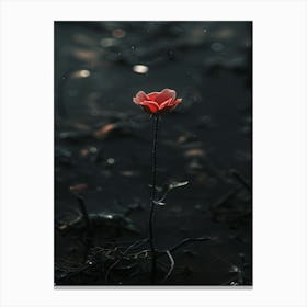 Single Red Flower In Water Canvas Print