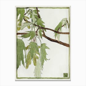 Maple (1915), Hannah Borger Overbeck Canvas Print