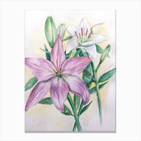 Lily Painting Canvas Print