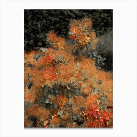 Autumn Leaves Canvas Print