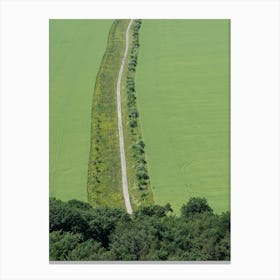 A path leads through green fields Canvas Print