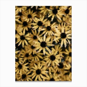 Black Eyed Susan Flowers Oil Painting Canvas Print