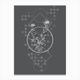 Vintage Daphne Sericea Flowers Botanical with Line Motif and Dot Pattern in Ghost Gray n.0309 Canvas Print