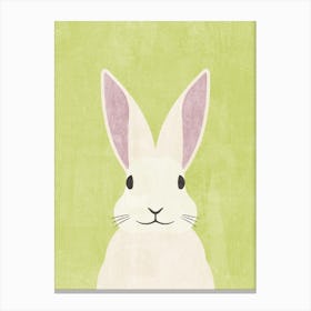Fauna Rabbit Canvas Print