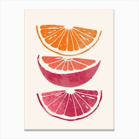 Orange Slices 8 Canvas Print