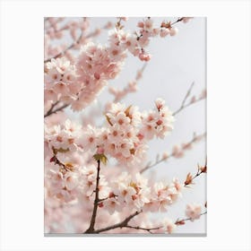 Pink Aesthetic Cherry Blossom Photography Canvas Print