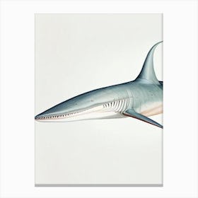 Goblin Shark Vintage Canvas Print
