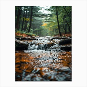 Stream In The Woods Canvas Print