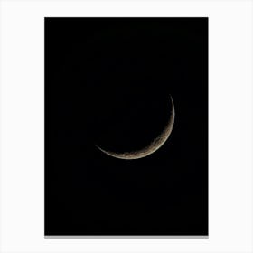 Black night Canvas Print