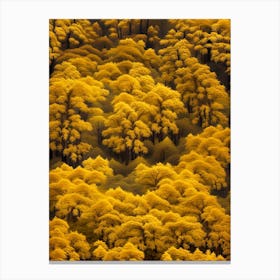 Yellow Trees Canvas Print