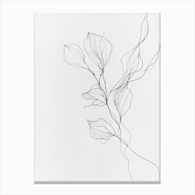 Line Drawing Of A Flower 6 Canvas Print