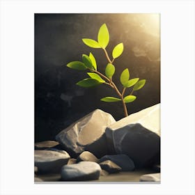 Tree Sprouting From Rocks Canvas Print