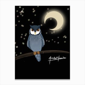 Owl At Night Canvas Print