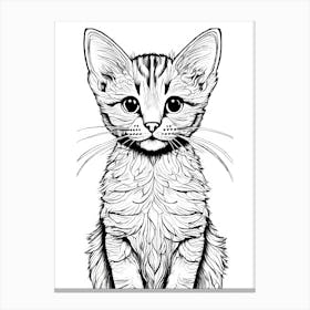 Kitten  Canvas Print