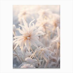 Frosty Botanical Edelweiss 3 Canvas Print