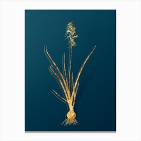 Vintage Hyacinthus Viridis Botanical in Gold on Teal Blue Canvas Print