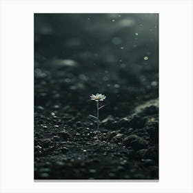 Flower In The Dark 12 Canvas Print