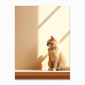 Cat Sitting On Window Sill Canvas Print