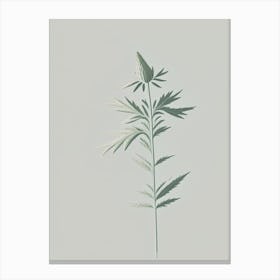 Motherwort Herb Simplicity Canvas Print