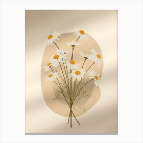 Chamomile 1 Canvas Print