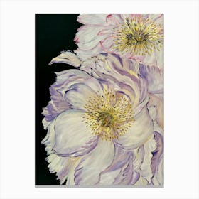 Peonies Canvas Print