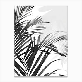 Black And White Palm Leaves 4 Canvas Print