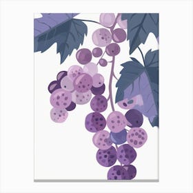 Grapes Close Up Illustration 2 Canvas Print
