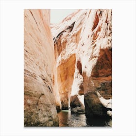 Water Stained Canyon Walls Canvas Print
