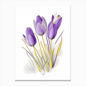 Crocus Floral Quentin Blake Inspired Illustration 1 Flower Canvas Print