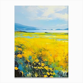 Yellow Poppies Canvas Print