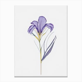 Iris Floral Minimal Line Drawing 5 Flower Canvas Print