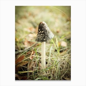 Brown Mushroom // Nature Photography 3 Canvas Print