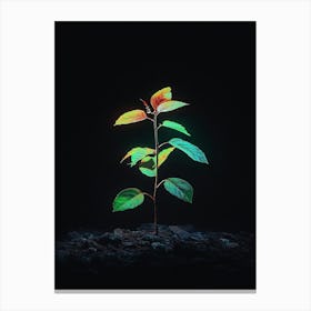 Tree Grows In The Dark 2 Canvas Print