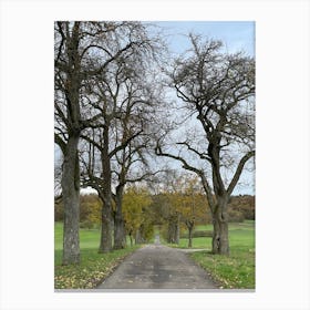 Road Lined With Trees 1 Canvas Print