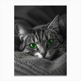 Cat With Green Eyes Canvas Print