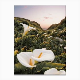 White Flower Patch Canvas Print