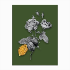 Vintage Anemone Centuries Rose Black and White Gold Leaf Floral Art on Olive Green Canvas Print