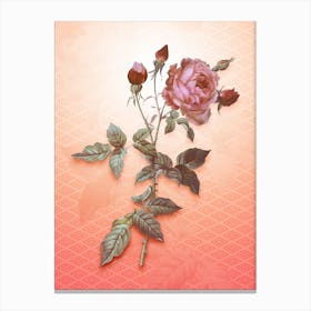Provence Rose Vintage Botanical in Peach Fuzz Hishi Diamond Pattern n.0082 Canvas Print