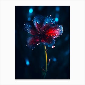 Flower In The Rain Canvas Print