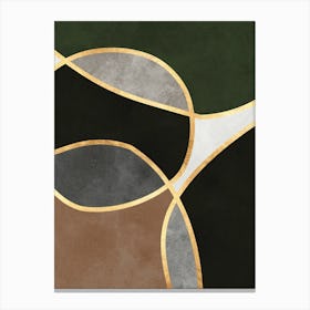 Organic shapes and golden lines 2 Canvas Print