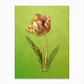 Vintage Tulip Botanical Art on Love Bird Green n.0768 Canvas Print