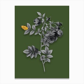 Vintage Turnip Roses Black and White Gold Leaf Floral Art on Olive Green n.0878 Canvas Print