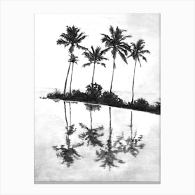 Palm Tree Reflections Black Canvas Print