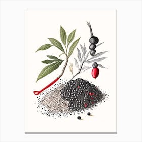 Black Pepper Spices And Herbs Pencil Illustration 4 Canvas Print