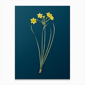 Vintage Rush Daffodil Botanical Art on Teal Blue n.0456 Canvas Print
