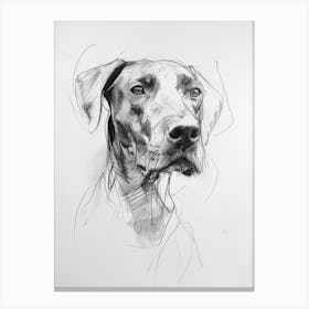 Pointer Dog Charcoal Line 2 Canvas Print