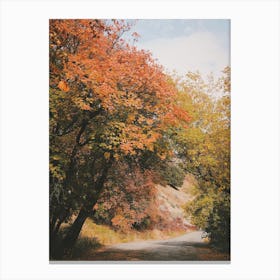 Rustic Autumn Forest Canvas Print