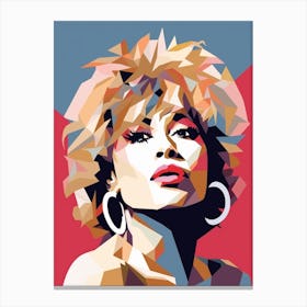 Tina Turner Canvas Print